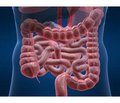 The Modern View on the Diagnosis of Acute Intestinal Vascular Insufficiency at an Early Hospital Stage
