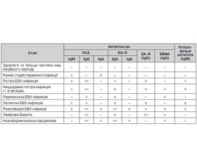 Гостра EBV-інфекція у дорослих: етіологія, епідеміологія, патогенез, клініка та лабораторна діагностика