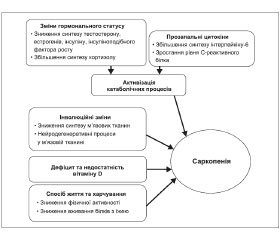 Асоційовані зміни гормонального статусу та скелетної м’язової тканини у жінок старших вікових груп