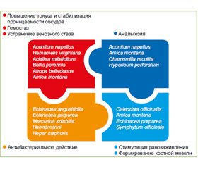 Траумель С — биорегуляционный подход в терапии воспаления