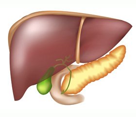 Metabolic syndrome as a basis of nonalcoholic fatty liver disease in obese children