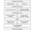 Чи потрібен діагноз «метаболічний синдром»?