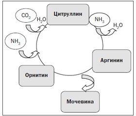 Острые нарушения функции печени у пациентов отделения интенсивной терапии и методы метаболической терапии