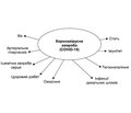 Клінічні детермінанти маніфестації коронавірусної хвороби (COVID-19)