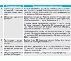 Лимфомиозот/Лимфомиозот Н — лимфодренажный препарат