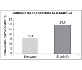 Механизмы действия пробиотиков на основе Bacillus subtilis
