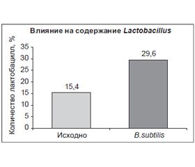 Механизмы действия пробиотиков на основе Bacillus subtilis