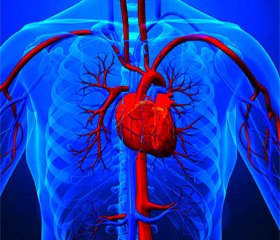 П’ять причин, чому сакубітрил/валсартан не повинен бути схваленим для лікування хронічної серцевої недостатності зі збереженою фракцією викиду лівого шлуночка
