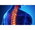 Features of anatomy, classification of traumatic injuries of the thoracic spine (literature review)