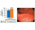 Ендоскопічні особливості слизової оболонки кишечника у хворих на виразковий коліт залежно від рівня IgG4