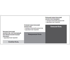 Адъювантная терапия при хроническом болевом синдроме (научный обзор)