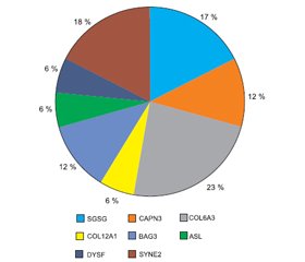 Клініко-патологічні, візуалізаційні й генетичні характеристики пацієнтів iз прогресуючими м’язовими дистрофіями