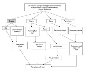 Peculiarities of development of antihypertensive action of multicomponent herbal drug Carvelis in middle-aged patients with uncomplicated arterial hypertension
