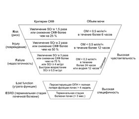 Синдром острого повреждения почек сепсис-ассоциированного генеза