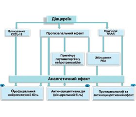 Медикаментозна терапія у хворих з остеоартритом та метаболічними порушеннями: у фокусі діацереїн