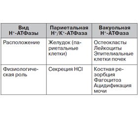 Проблема остеопороза и остеопоротических переломов при длительном применении ингибиторов протонной помпы