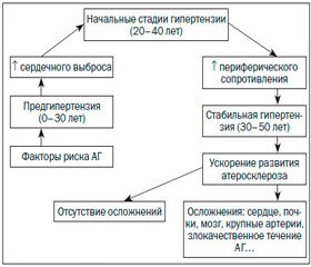 Артериальная гипертензия: заболевание или фактор риска?