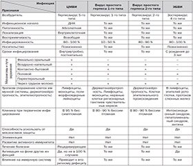 Стратегия взаимоотношений и взаимодействий человека и герпесвирусных инфекций