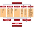 Властивості та застосування комбінованого інфузійного розчину Рінгера та пентоксифіліну у терапевтичній практиці