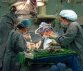 Актуальные вопросы диагностики и лечения доброкачественных опухолей печени