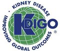 Підсумкове резюме KDIGO 2018 із гепатиту С для настанов із ХХН: досягнення в оцінці й менеджменті