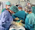 Роль ультразвукового исследования в выборе тактики лечения рака яичников