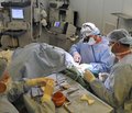 Симультанные операции при сочетанных хирургических и гинекологических заболеваниях