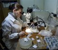 Применение биокомпозиционного наноструктурированного препарата «Коллапан» и обогащённой тромбоцитами аутоплазмы в инжиниринге костной ткани
