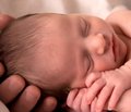 Теоретические и клинические аспекты тромбоцитопении новорожденных