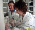 Організація допомоги при поєднаній травмі та шляхи її удосконалення