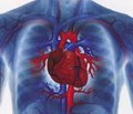 Європейські рекомендації з профілактики серцево­-судинних захворювань 2012. Переклад кишенькового варіанта. (Повний текст рекомендацій опублікований у European Heart Journal. — 2012. — Vol. 33. — P. 1635­1701)