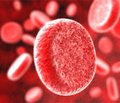 Чи справді активність реніну плазми крові є біомаркером для передбачення ренальних та серцево-судинних наслідків у пацієнтів з артеріальною гіпертензією на тлі її лікування?