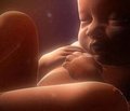 Ультразвуковое исследование тимуса у детей в норме, при некоторых заболеваниях и состояниях
