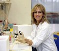 Клиническая эффективность Актовегина в коррекции оксидативного стресса при диабетической полинейропатии у больных сахарным диабетом 2-го типа с артериальной гипертензией