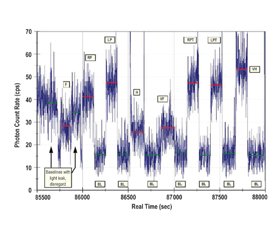 Нейротропні та біофізичні ефекти ментальних практик. Зосередження на кіокушинкай карате ката